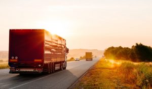 PIS e COFINS devem incidir sobre o transporte para a ZFM?